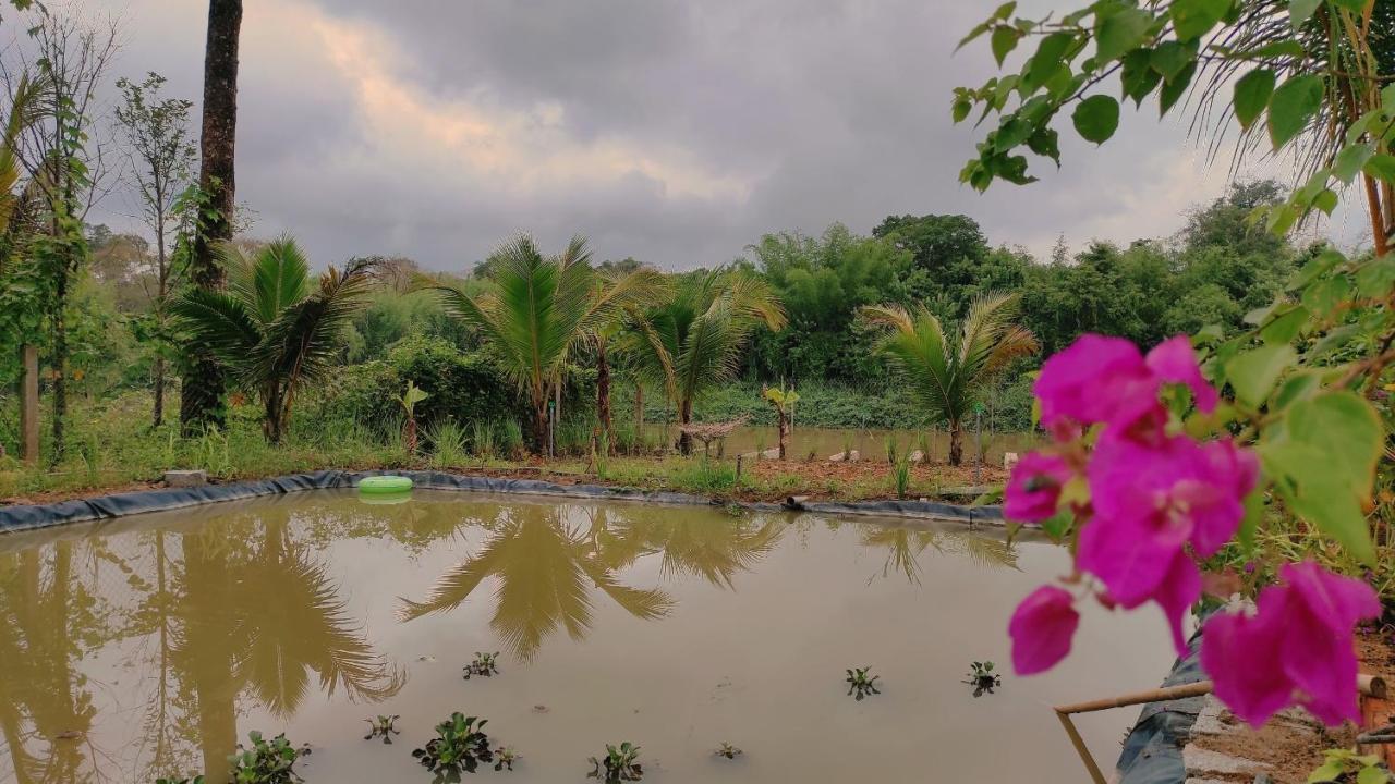 Homestay Dat Viet Cat Tien Esterno foto